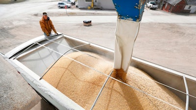 In this April 5, 2018, file photo Terry Morrison of Earlham, Iowa, watches as soybeans are loaded into his trailer at the Heartland Co-op,, in Redfield, Iowa. If the U.S. starts taxing Chinese imports Friday, July 6, 2018, Beijing plans to impose 25 percent tariffs on 545 U.S. products worth $34 billion a year, from soybeans and lobsters to sport-utility vehicles and whiskey.