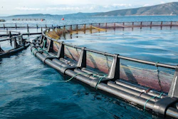 Fish Farm 628525694 3264x2448 (1)