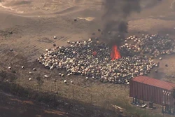 Two workers were airlifted to a burn center with unspecified injuries believed to be non-life-threatening.