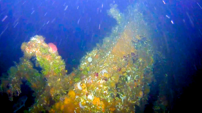 This July, 2018 photo from video provided by Project Recover shows a gun shows a portion of the coral-encrusted stern of the destroyer USS Abner Read in the waters off Kiska Island, Alaska. The Abner Read hit a mine left by the Japanese after they abandoned Kiska Island in Alaska's Aleutian Islands in 1943, ripping the stern off. But the ship never sank and was refitted and returned to duty. Now, 75 years after the ship's 75-foot stern broke off, it has been located off Kiska by a team of scientists funded by the U.S. government.