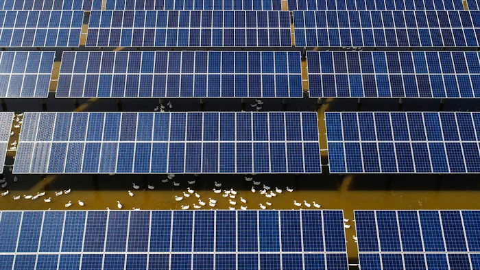 In this June 14, 2018, photo, ducks swim underneath the solar panels built on a duck farm in Binzhou in east China's Shandong province. China says it is challenging a U.S. tariff hike on solar panels before the World Trade Organization, adding to its sprawling conflicts with President Donald Trump over trade and technology.