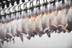 Poultry Meat Processing 452790087 4256x2832
