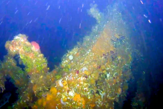 This July, 2018 photo from video provided by Project Recover shows a gun shows a portion of the coral-encrusted stern of the destroyer USS Abner Read in the waters off Kiska Island, Alaska. The Abner Read hit a mine left by the Japanese after they abandoned Kiska Island in Alaska's Aleutian Islands in 1943, ripping the stern off. But the ship never sank and was refitted and returned to duty. Now, 75 years after the ship's 75-foot stern broke off, it has been located off Kiska by a team of scientists funded by the U.S. government.
