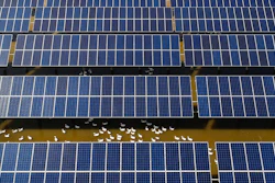 In this June 14, 2018, photo, ducks swim underneath the solar panels built on a duck farm in Binzhou in east China's Shandong province. China says it is challenging a U.S. tariff hike on solar panels before the World Trade Organization, adding to its sprawling conflicts with President Donald Trump over trade and technology.