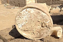 The ancient cheese was made from a mixture of cow milk and that of a sheep or goat.