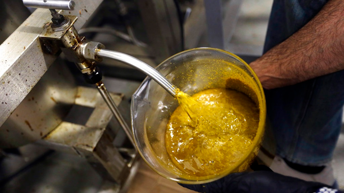 In this April 24, 2018, file photo, the first rendering from hemp plants extracted from a super critical CO2 extraction device on its' way to becoming fully refined CBD oil spurts into a large beaker at New Earth Biosciences in Salem, Ore. The Coca-Cola Company says that it's 'closely watching' the growth of the use of a non-psychoactive element of cannabis in wellness drinks.