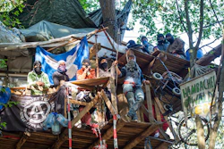 Protesters are seen in their tree house in the Hambach forest in Kerpen, Germany. Thousands of people are protesting against the expansion of a coal strip mine in western Germany that would entail the chopping down of an ancient forest.