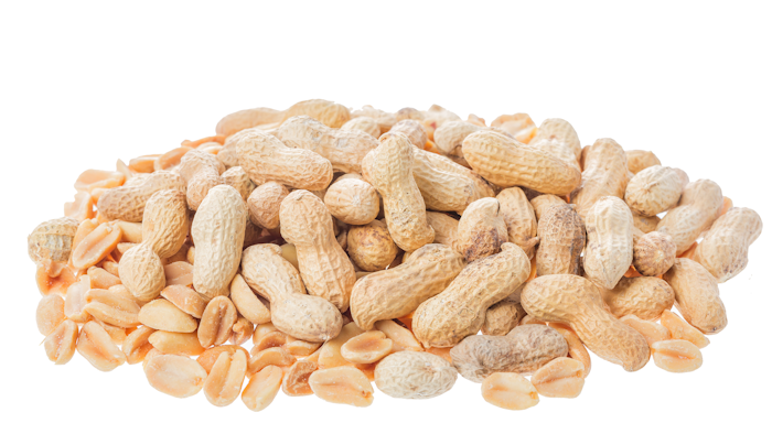 Roasted Peanuts