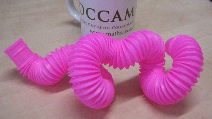 UMass Amherst materials scientists, with colleagues at Virginia Tech, believe theirs is the first study to look into how and why structures such as bendable straws and collapsible dog bowls have stability in the bent state.