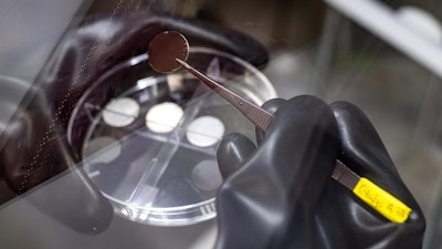 Rice University graduate student Gladys López-Silva holds a lithium metal anode with a film of carbon nanotubes. Once the film is attached, it becomes infiltrated by lithium ions and turns red.