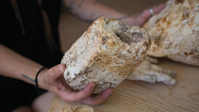 This photo taken Sept. 12, 2018, shows Kaitlin Bryson holding a mycelium brick, which is used to strip heavy metals and toxins from soil and water, in her Albuquerque, N.M., home. Bryson and other activists hope to use bricks or smaller beads like this to remove chemicals from water and land surrounding the Los Alamos National Lab.