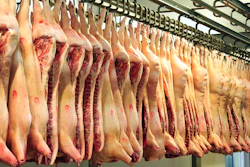 Pork