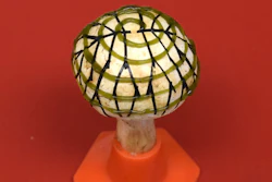 110718 Bionic Mushroom