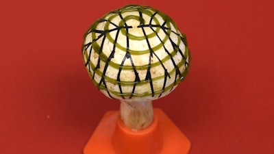 110718 Bionic Mushroom