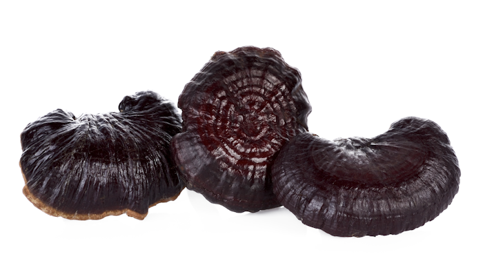 Reishi Mushrooms