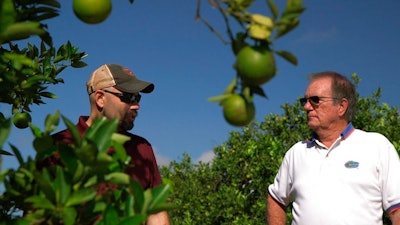 Fred Gmitter, a geneticist at the University of Florida Citrus Research and Education Center, right, visits a citrus grower in an orange grove affected by citrus greening disease in Fort Meade, Fla., on Sept. 27, 2018. 'If we can go in and edit the gene, change the DNA sequence ever so slightly by one or two letters, potentially we'd have a way to defeat this disease,' says Gmitter.