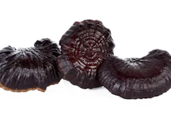 Reishi Mushrooms