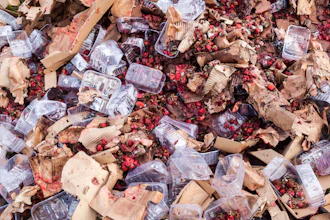 Rotten Strawberries In A Landfill