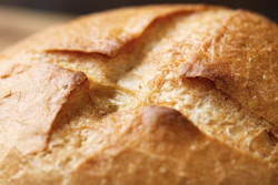 Fresh Crispy Wheat Bun 862641864 5472x3648