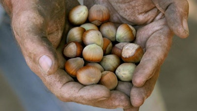Hazelnut growers in Oregon were anticipating a record-high crop in 2018, although it appears the harvest is coming in short of expectations.