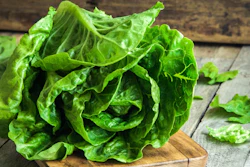 Ripe Organic Green Salad Romano 000057375036 Small