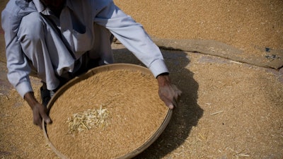 A Pakistani laborer sieves the wheat. Population growth requires supplies of more nutritious food at affordable prices. But raising farm output is hard given the fragility of the environment.