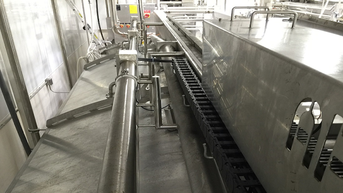 Igus Cheese Plant