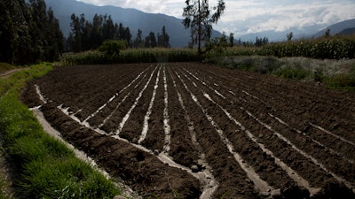 In this Dec. 7, 2018 photo, a field is irrigated with river water that carries untreated sewage in Valencia, Bolivia.