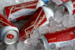 Bud