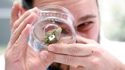 In this Oct. 17, 2018 file photo, Jean Marc looks at a sample at a cannabis store in Winnipeg, Manitoba. When Canada legalized recreational marijuana in October, it emerged as the world leader in the industry - and U.S. companies are scrambling to get in on the action. Uruguay may have been the first country to legalize pot, but the South American country's market is dwarfed by Canada's. And while a majority of U.S. states have legalized marijuana to varying degrees, contradictory federal laws have U.S. companies reluctant to invest here. So they are sending their money north.