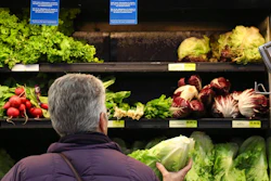 Romaine Recall Ap