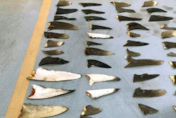 This photo shows some of the hundreds of shark fins seized from a Japanese fishing boat.