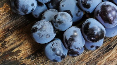 Concord Grapes