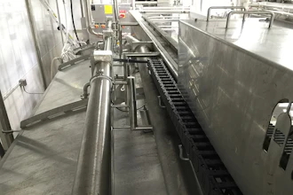 Igus Cheese Plant