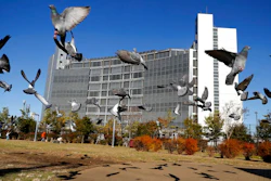 In this Dec. 25, 2018, file photo, pigeons fly near Tokyo Detention Center, where former Nissan chairman Carlos Ghosn and another former executive Greg Kelly, are being detained, in Tokyo. A Japanese news report says former Nissan chairman Ghosn will be detained at least through Jan. 11, 2019. Ghosn, who led Nissan Motor Co. for two decades saving the Japanese automaker from near bankruptcy, was arrested Nov. 19, 2018, on suspicion of falsifying financial reports.
