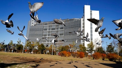 In this Dec. 25, 2018, file photo, pigeons fly near Tokyo Detention Center, where former Nissan chairman Carlos Ghosn and another former executive Greg Kelly, are being detained, in Tokyo. A Japanese news report says former Nissan chairman Ghosn will be detained at least through Jan. 11, 2019. Ghosn, who led Nissan Motor Co. for two decades saving the Japanese automaker from near bankruptcy, was arrested Nov. 19, 2018, on suspicion of falsifying financial reports.
