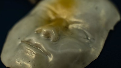 A face made of a unique polymer at Rice University takes shape when cooled and flattens when heated. The material may be useful in the creation of soft robots and for biomedical applications.
