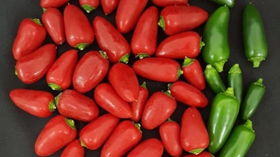 This image shows Jalapeño peppers (a cultivated variety of Capsicum annuum).