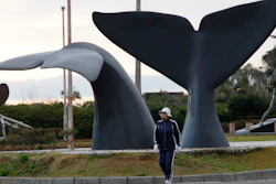 In this March 8, 2010, file photo, a woman walks by sculptures of whales, the symbol of the southwestern Japanese town of Taiji. Japanese whalers are discussing plans ahead of their July 1, 2019 resumption of commercial hunting along the northeastern coasts for the first time in three decades.