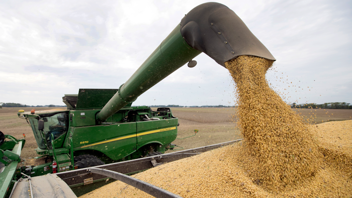 Soybeans