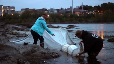 In this May 25, 2017, file photo, elver fishermen set up a net on the Penobscot River in Brewer, Maine.