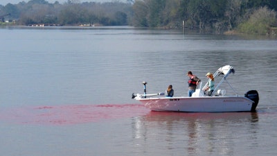 In this Feb. 21, 2019 photo, Army Corps of Engineers scientists drift in a boat toward a plume of red dye in the Savannah River, Ga., as they test large machines designed to boost oxygen levels in the river. The oxygen-injection stations are part of a $973 million project to deepen the busy shipping channel linking the Port of Savannah to the Atlantic Ocean. The machines are intended to replenish an expected drop in the river's levels of dissolved oxygen, which fish need to breathe. A 2013 court settlement requires the Army Corps to test the machines and show that they work before dredging can begin on the upriver half of the project.