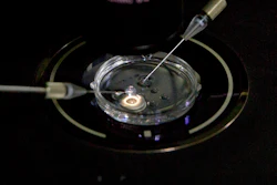 In this Oct. 9, 2018 file photo, an embryo receives a small dose of Cas9 protein and PCSK9 sgRNA in a sperm injection microscope in a laboratory in Shenzhen in southern China's Guangdong province, during work by scientist He Jiankui's team. On Thursday, Feb. 7, 2019, a Stanford University official said that the school has started a review of interactions that some faculty members had with He, who claims to have helped make gene-edited babies.