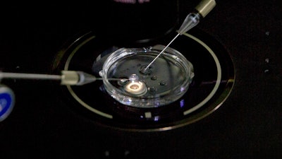 In this Oct. 9, 2018 file photo, an embryo receives a small dose of Cas9 protein and PCSK9 sgRNA in a sperm injection microscope in a laboratory in Shenzhen in southern China's Guangdong province, during work by scientist He Jiankui's team. On Thursday, Feb. 7, 2019, a Stanford University official said that the school has started a review of interactions that some faculty members had with He, who claims to have helped make gene-edited babies.