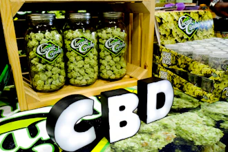 In this Aug. 31, 2018, file photo CBD buds of chocolate by Chronic Candy are displayed at the Big Industry Show at the Los Angeles Convention Center. From skin-care lotions to bottled water, cannabis companies are rolling out a growing array of consumer products infused with a chemical found in marijuana called cannabidiol, or CBD.