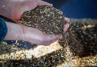Canola grower David Reid checks on his storage bins full of last year's crop of canola seed on his farm near Cremona, Alberta, Canada, Friday, March 22, 2019. China has stopped all new purchases of Canadian canola seeds in what some see as retaliation for Canada's arrest of a top executive of Chinese tech giant Huawei. The Canola Council of Canada said late Thursday exporters are reporting Chinese importers are unwilling to purchase the seeds at this time.