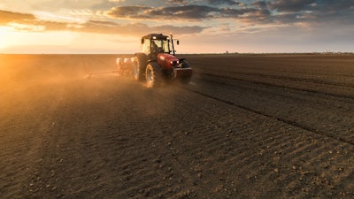 Farmer Planting Crops In Spring