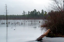 This Jan. 6, 2014 photo shows a section of the Pinelands region in Lakehurst N.J. On March 25, 2019, the New Jersey Department of Environmental Protection ordered five companies that make chemicals used to stain-proof clothing and make non-stick cookware to fund a plan to clean up contamination of the state's environment, including waterways, that have been tainted by the presence of the chemicals.
