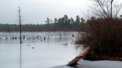 This Jan. 6, 2014 photo shows a section of the Pinelands region in Lakehurst N.J. On March 25, 2019, the New Jersey Department of Environmental Protection ordered five companies that make chemicals used to stain-proof clothing and make non-stick cookware to fund a plan to clean up contamination of the state's environment, including waterways, that have been tainted by the presence of the chemicals.