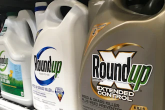 In this Sunday, Feb. 24, 2019 file photo, containers of Roundup are displayed on a store shelf in San Francisco. A jury in federal court in San Francisco has concluded that Roundup weed killer was a substantial factor in a California man's cancer. The unanimous verdict on Tuesday, March 19, 2019, came in a trial that plaintiffs' attorneys said could help determine the fate of hundreds of similar lawsuits against Roundup's manufacturer, agribusiness giant Monsanto.